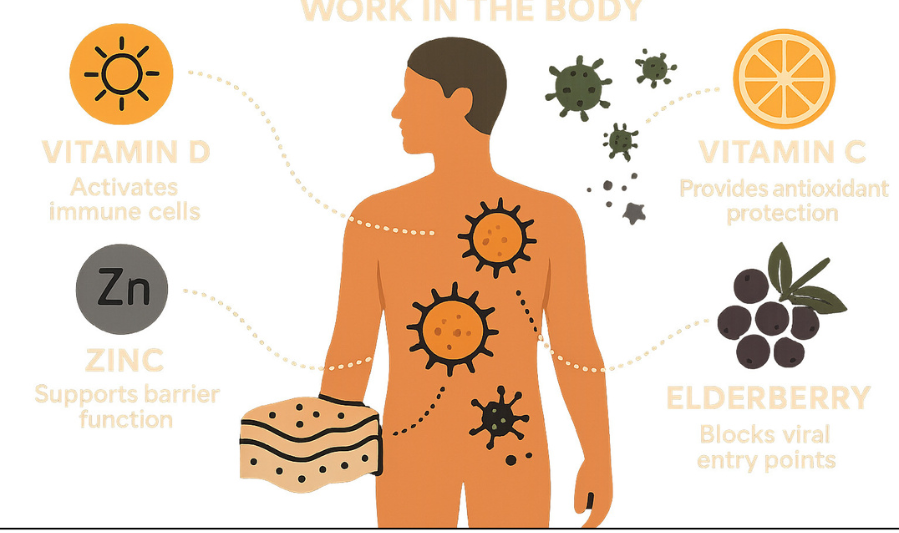 Health, Energy, Aur Immunity Importance