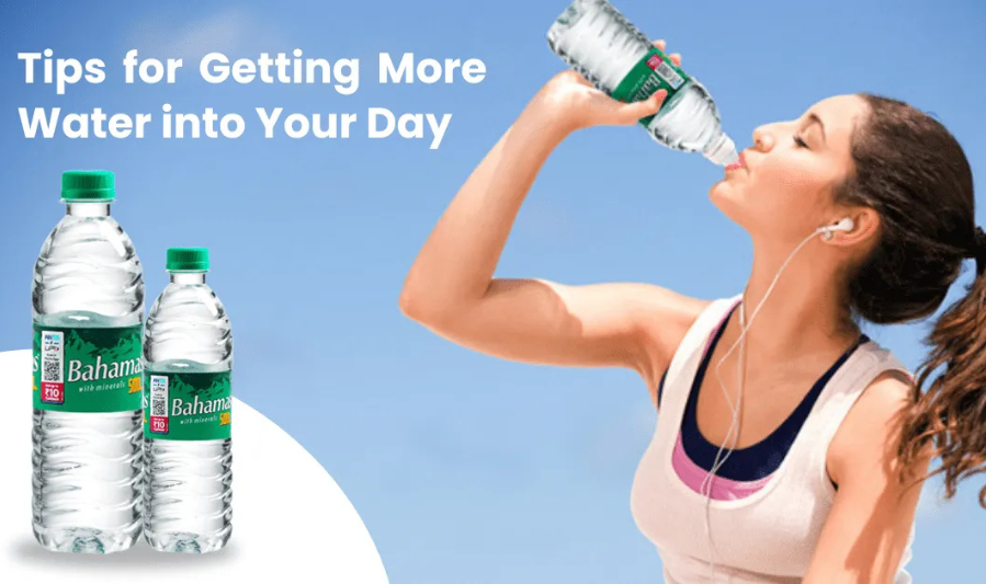 Hydration Habits