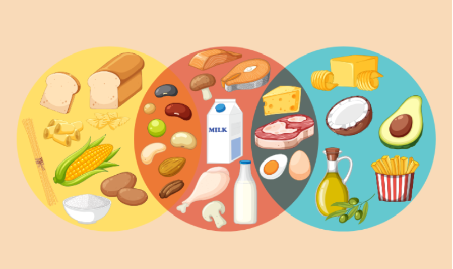 Macronutrients and Their Role in Fitness