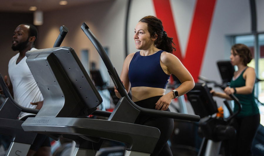 What Are Daily Workout Routines