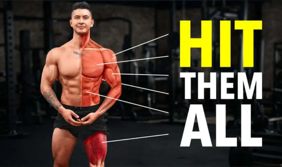 What Are Full Body Workout Plans