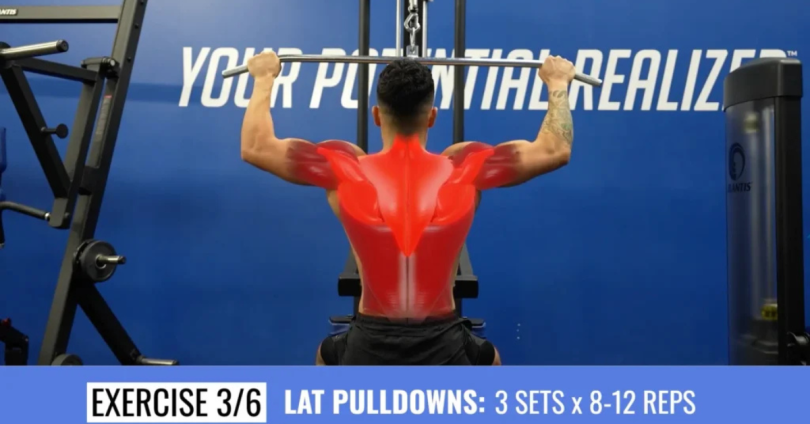 full body workout plans